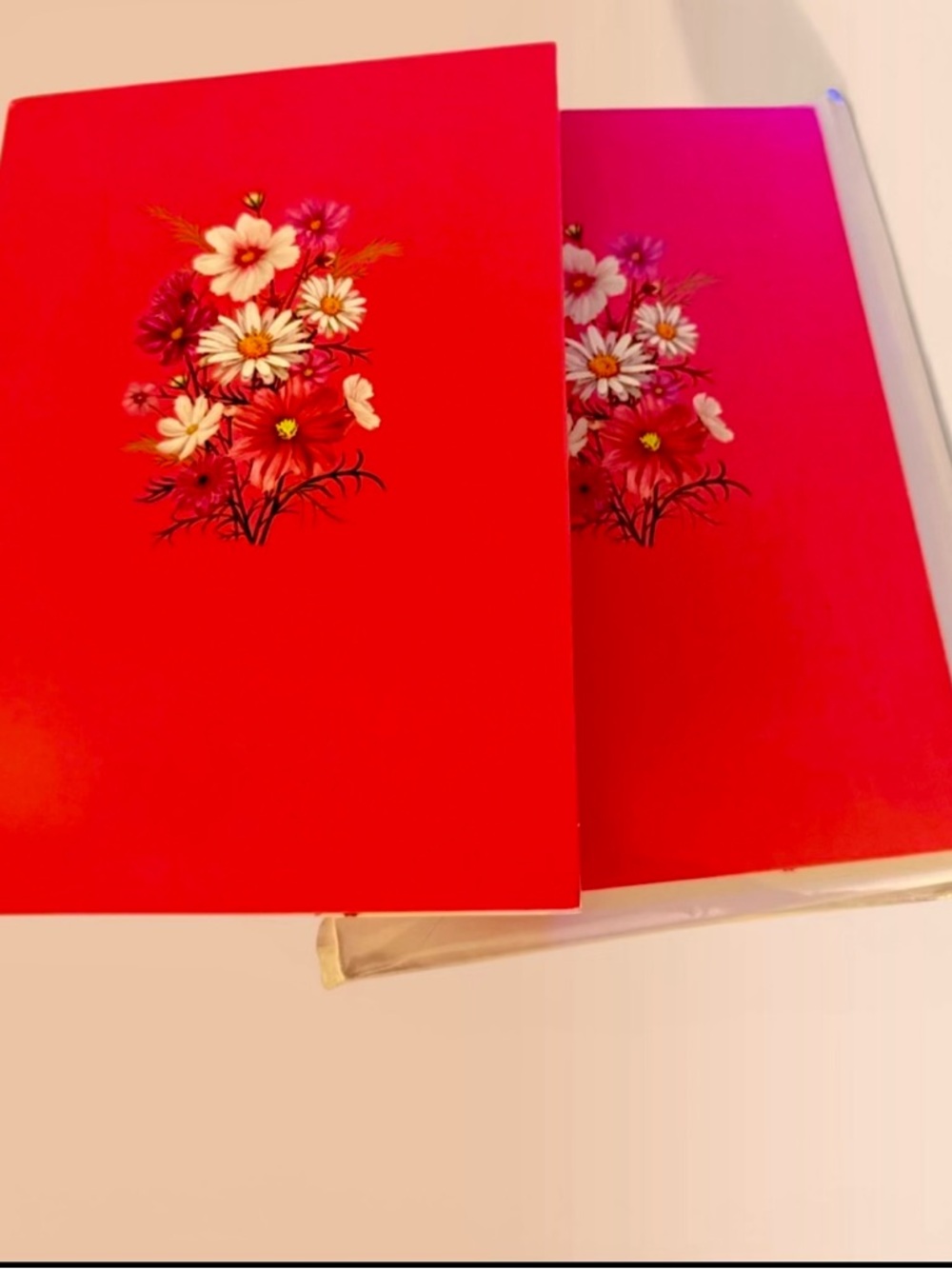 Daisy Red Floral pop up cards nwt